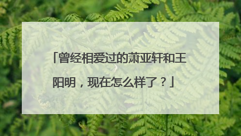 曾经相爱过的萧亚轩和王阳明，现在怎么样了？