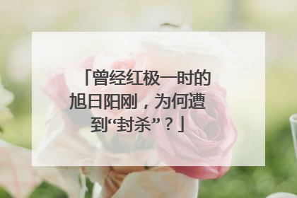 曾经红极一时的旭日阳刚,为何遭到“封杀”?