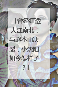 曾经红透大江南北,与赵本山决裂,小沈阳如今怎样了?