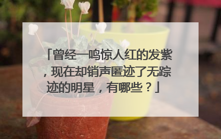 曾经一鸣惊人红的发紫，现在却销声匿迹了无踪迹的明星，有哪些？