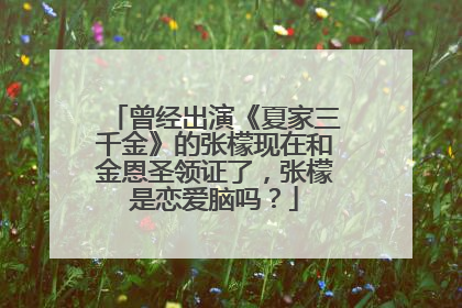 曾经出演《夏家三千金》的张檬现在和金恩圣领证了,张檬是恋爱脑吗?