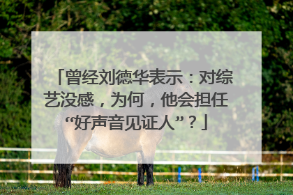 曾经刘德华表示：对综艺没感，为何，他会担任“好声音见证人”？