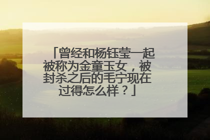 曾经和杨钰莹一起被称为金童玉女,被封杀之后的毛宁现在过得怎么样?