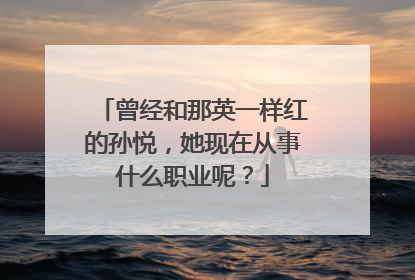 曾经和那英一样红的孙悦,她现在从事什么职业呢?
