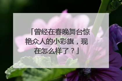 曾经在春晚舞台惊艳众人的小彩旗,现在怎么样了?