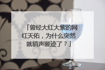 曾经大红大紫的网红天佑,为什么突然就销声匿迹了?