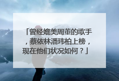 曾经媲美周董的歌手，蔡依林潘玮柏上榜，现在他们状况如何？
