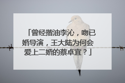 曾经揩油李沁，吻已婚导演，王大陆为何会爱上二婚的蔡卓宜？