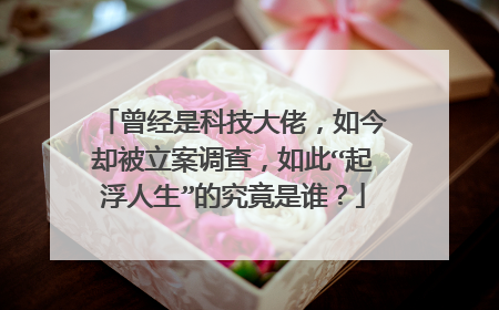 曾经是科技大佬,如今却被立案调查,如此“起浮人生”的究竟是谁?