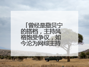 曾经是撒贝宁的搭档,主持风格饱受争议,如今沦为网综主持人,他是谁?