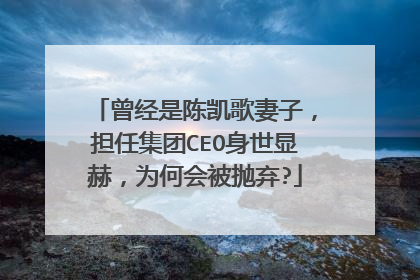 曾经是陈凯歌妻子，担任集团CEO身世显赫，为何会被抛弃?