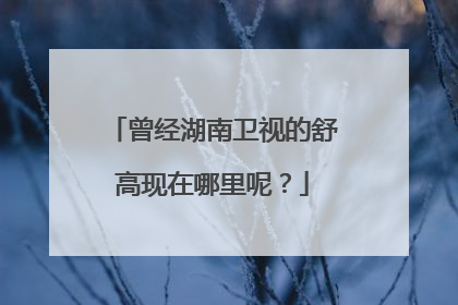 曾经湖南卫视的舒高现在哪里呢?