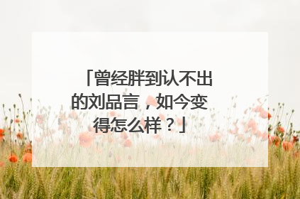 曾经胖到认不出的刘品言，如今变得怎么样？