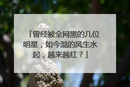 曾经被全网黑的几位明星，如今混的风生水起，越来越红？
