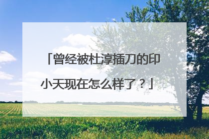 曾经被杜淳插刀的印小天现在怎么样了？