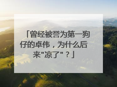 曾经被誉为第一狗仔的卓伟,为什么后来