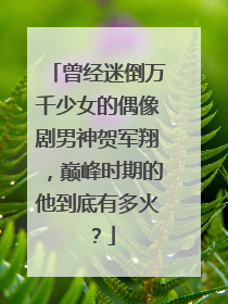 曾经迷倒万千少女的偶像剧男神贺军翔,巅峰时期的他到底有多火?