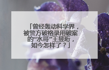 曾经轰动科学界，被警方破格录用破案的“水哥”王昱珩，如今怎样了？