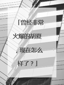 曾经非常火爆的胡夏，现在怎么样了？