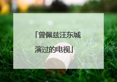 曾佩兹汪东城演过的电视