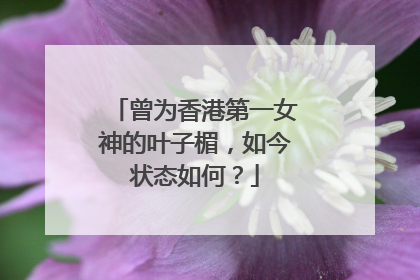 曾为香港第一女神的叶子楣，如今状态如何？