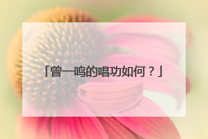 曾一鸣的唱功如何？