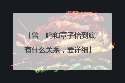 曾一鸣和章子怡到底有什么关系，要详细