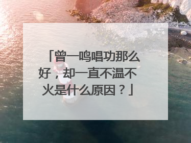 曾一鸣唱功那么好,却一直不温不火是什么原因?