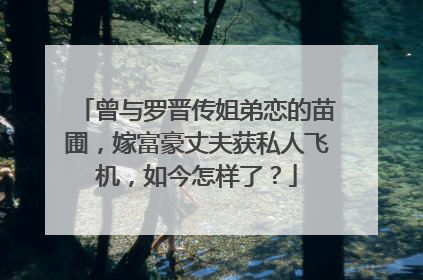 曾与罗晋传姐弟恋的苗圃，嫁富豪丈夫获私人飞机，如今怎样了？