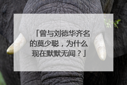 曾与刘德华齐名的莫少聪，为什么现在默默无闻？