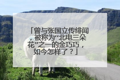 曾与张国立传绯闻,被称为“北电三朵花”之一的金巧巧,如今怎样了?