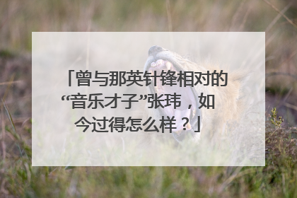 曾与那英针锋相对的“音乐才子”张玮,如今过得怎么样?