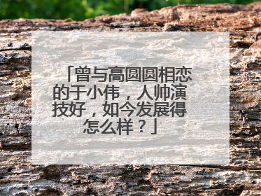 曾与高圆圆相恋的于小伟，人帅演技好，如今发展得怎么样？