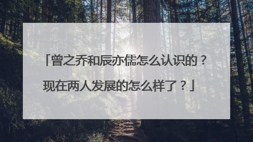 曾之乔和辰亦儒怎么认识的?现在两人发展的怎么样了?