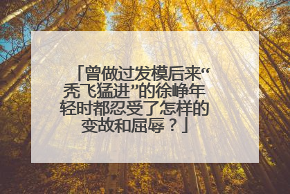 曾做过发模后来“秃飞猛进”的徐峥年轻时都忍受了怎样的变故和屈辱?