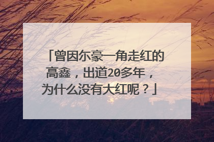 曾因尓豪一角走红的高鑫,出道20多年,为什么没有大红呢?