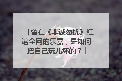 曾在《非诚勿扰》红遍全网的乐嘉,是如何把自己玩儿坏的?