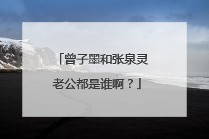 曾子墨和张泉灵老公都是谁啊？