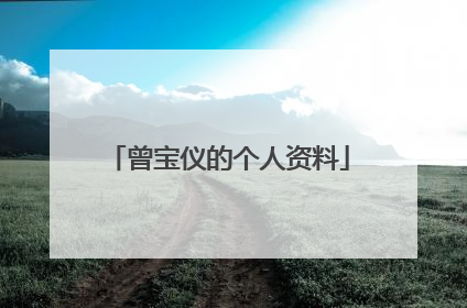 曾宝仪的个人资料