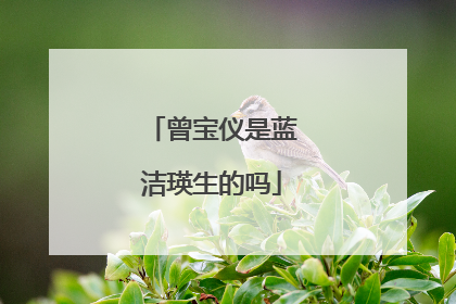 曾宝仪是蓝洁瑛生的吗