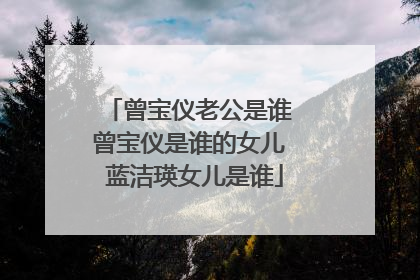 曾宝仪老公是谁 曾宝仪是谁的女儿 蓝洁瑛女儿是谁
