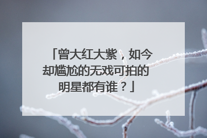 曾大红大紫,如今却尴尬的无戏可拍的明星都有谁?