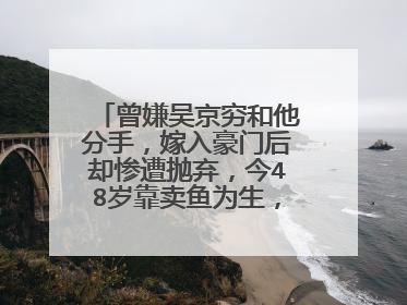曾嫌吴京穷和他分手,嫁入豪门后却惨遭抛弃,今48岁靠卖鱼为生,她是谁?
