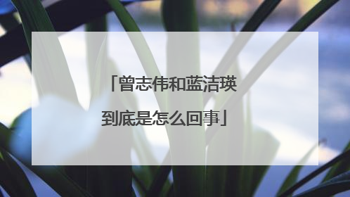曾志伟和蓝洁瑛到底是怎么回事