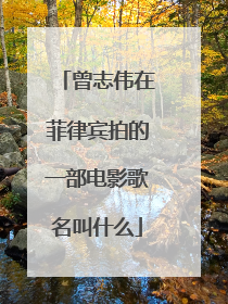 曾志伟在菲律宾拍的一部电影歌名叫什么