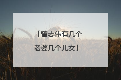 曾志伟有几个老婆几个儿女