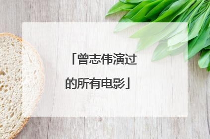 曾志伟演过的所有电影