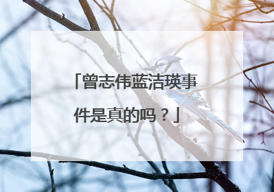 曾志伟蓝洁瑛事件是真的吗?