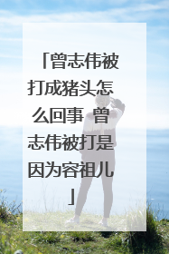 曾志伟被打成猪头怎么回事 曾志伟被打是因为容祖儿