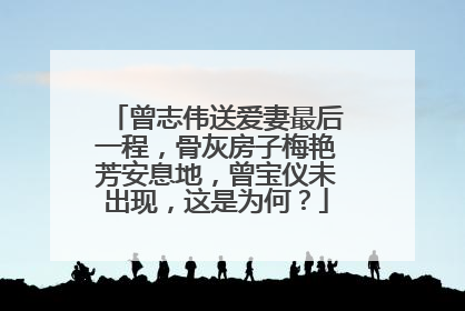 曾志伟送爱妻最后一程，骨灰房子梅艳芳安息地，曾宝仪未出现，这是为何？